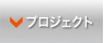 プロジェクト