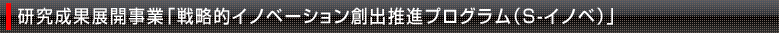 戦略的イノベーション創出推進事業（S-イノベ）